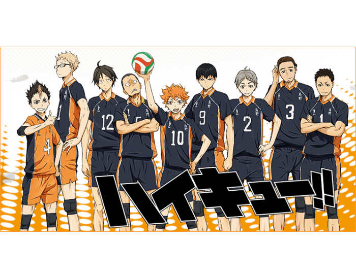 Buy Haikyuu message sheet Karasuno B Volleyball Anime Online at