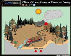 Effects of Climate Change on Forests and Forestry