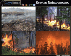 Soorten Natuurbranden
