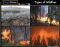 Types of Wildfires