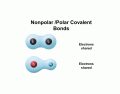 Nonpolar and Polar Covalent Bonding