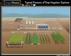 Typical Features of Drip Irrigation Systems