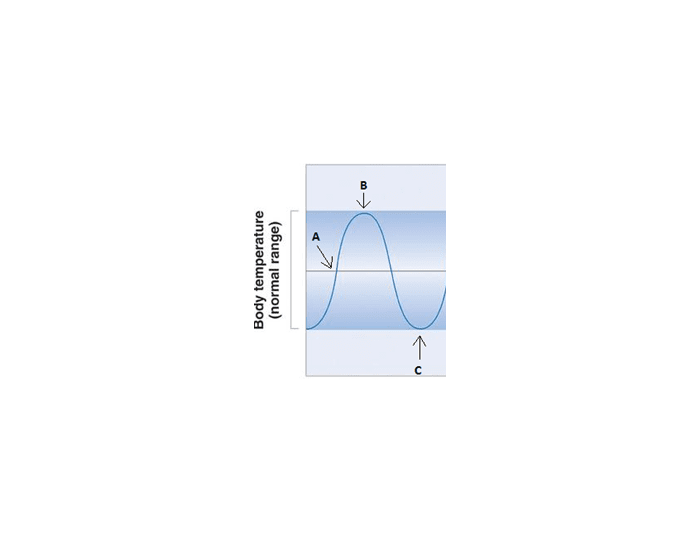 Feenack Loop Graph Negative feedback loop graph Quiz