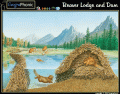 Beaver Lodge and Dam | Quiz
