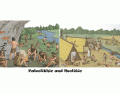 Paleolithic and Neolithic Characteristics