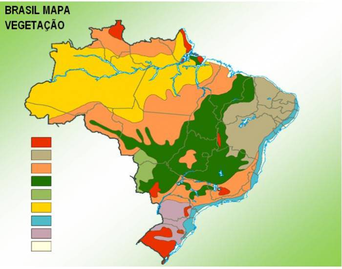 Pedagógiccos: Mapa do Brasil: vegetação