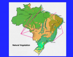 Vegetation of Brazil