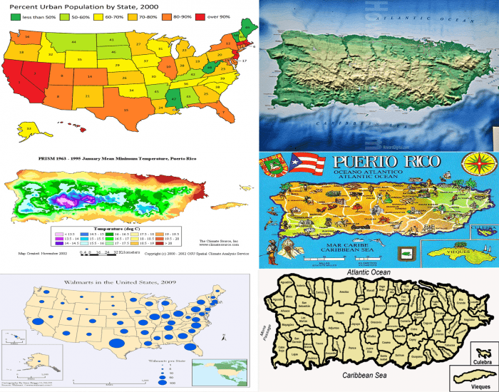Identify the types of maps — Printable Worksheet