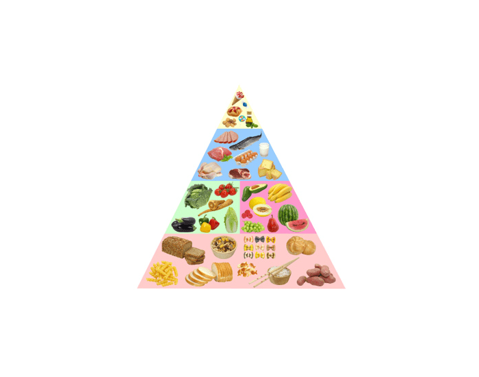 Food Guide Pyramid Question Food Guide Pyramid — Printable Worksheet