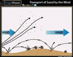 Transport of sand by the wind