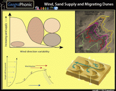 Wind Sand Supply and Migrating Dunes