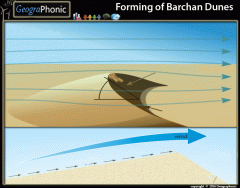 Forming of Barchan Dunes