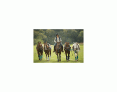 Leading and standing horses up - MATCHING QUIZ