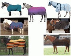 Name the type of horse rug - DOT QUIZ - EASY