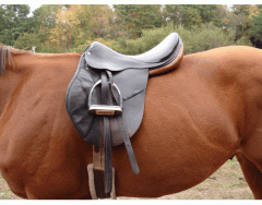 Quiz about horse tack - MATCHING QUIZ