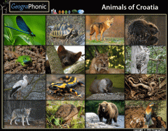 Game | Animals of Croatia