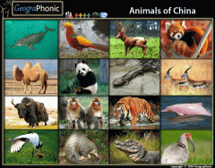 Game  | Animals of China