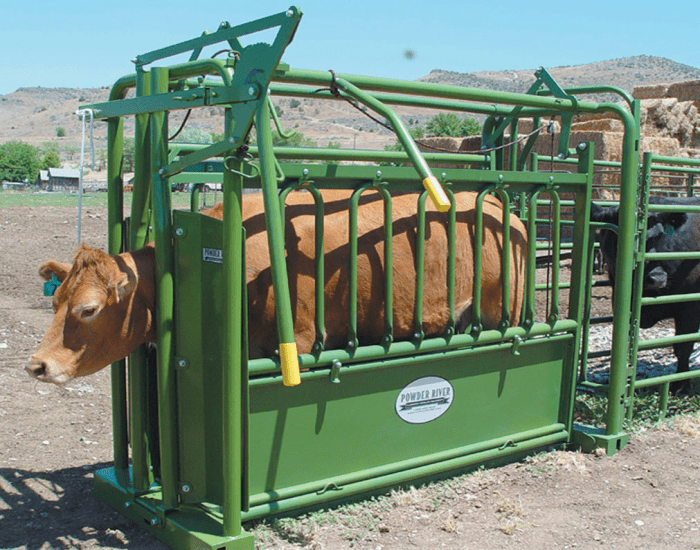 Restraining Tools Bovine restraining tool Quiz