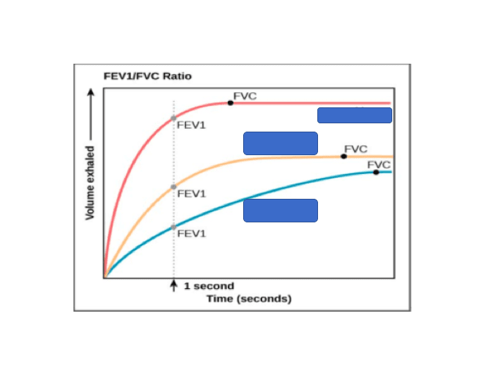 FEV1/FVC ratio — Printable Worksheet