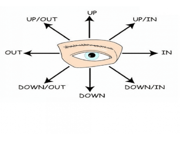 Cardinal directions of eye movement Quiz