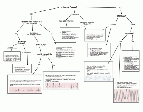 SLE Criteria (SOAP BRAIN MD) Quiz