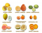 The Orange Family (Citrus Fruits)