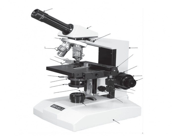 Parts of a Compound Microscope Quiz