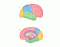 Hersenen: De 4 lobben