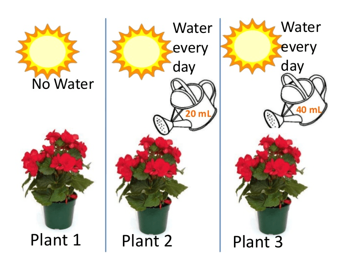 Scientific Variables Quiz