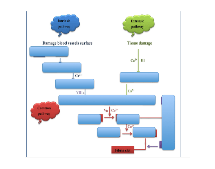The Pathways Quiz