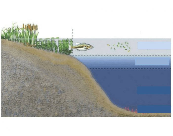 Two Layer Lake Layers of a Lakes Quiz