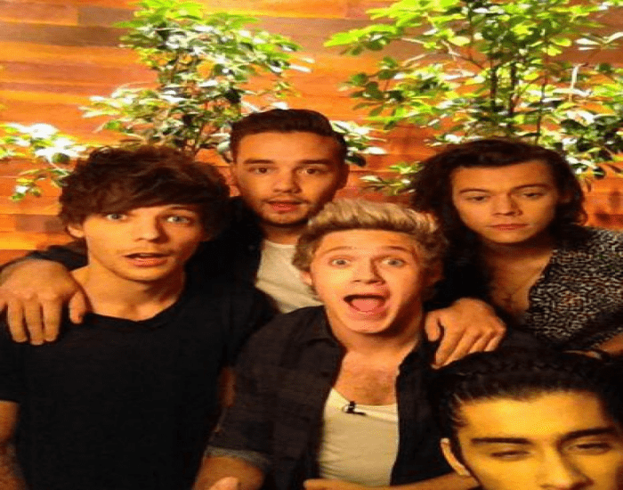 One Direction Quiz