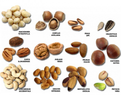 Nuts (and other snacks)