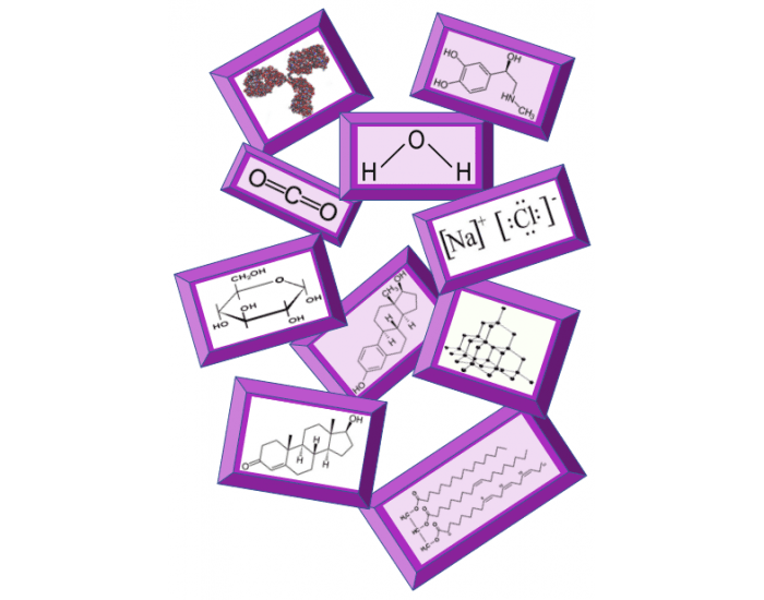 Label The Molecule Quiz