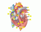 BIOL 220: Heart 2