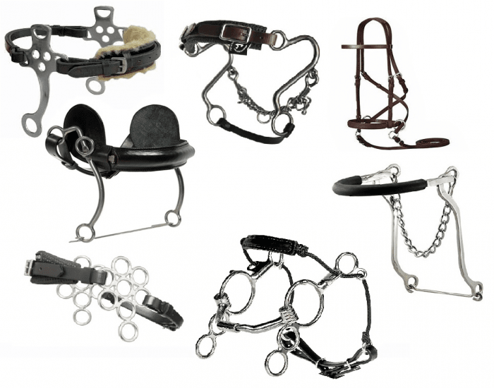 Hackamore Types Types of hackamore horse bit Quiz