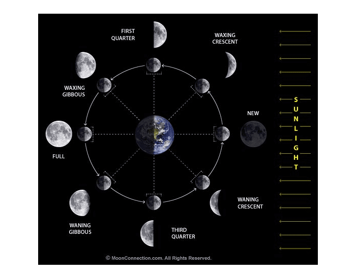 Moon Phases: Guess the phases Quiz