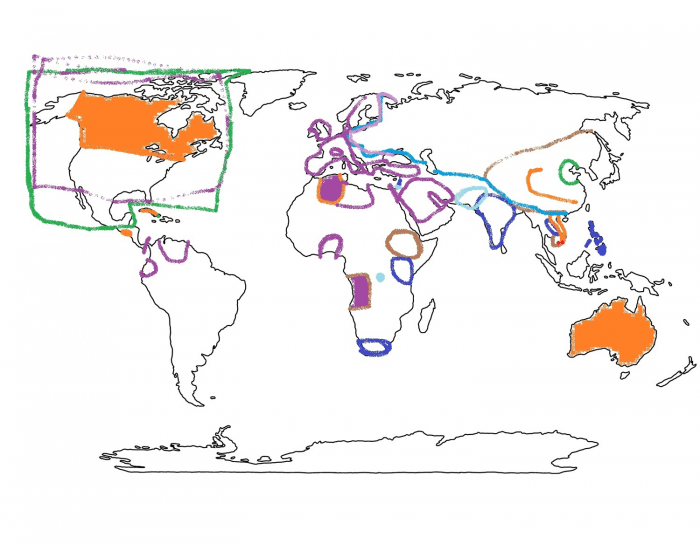 APWH Contemporary World Map (Pt 1) Quiz