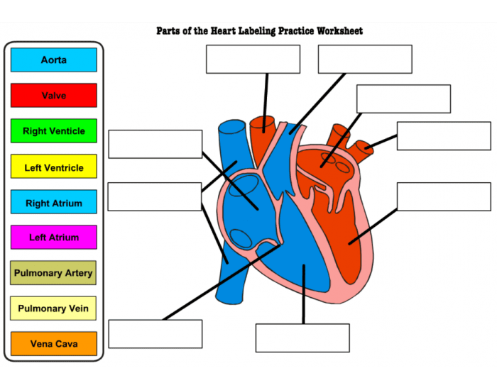 heart-labeling-game