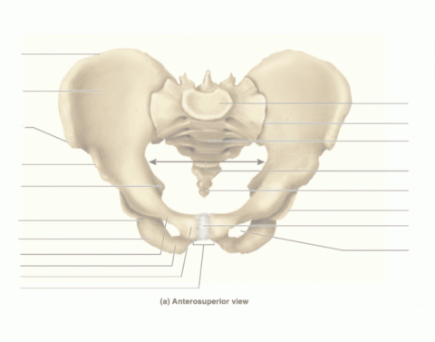 Cervical Lymph Nodes NUR120 BHCC Fall 2018 Quiz Cervical Lymph Nodes NUR120 BHCC Fall 2018 Quiz