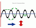 Parts of a Transverse Wave