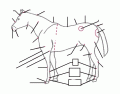 Parts of a Horse
