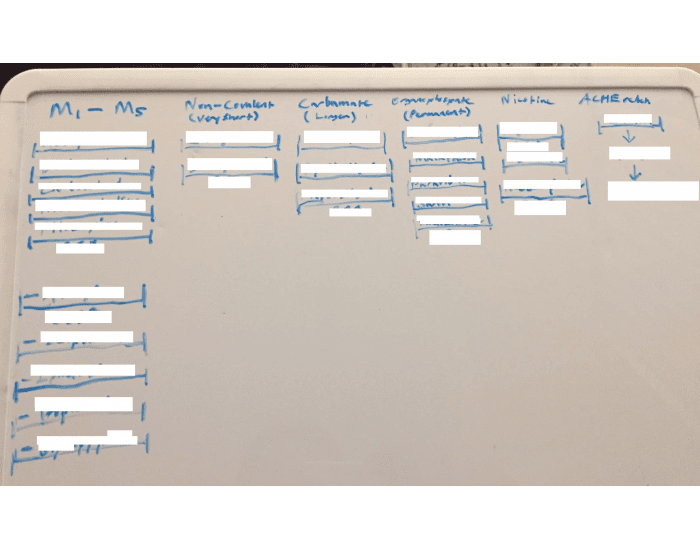 SLE Criteria (SOAP BRAIN MD) Quiz