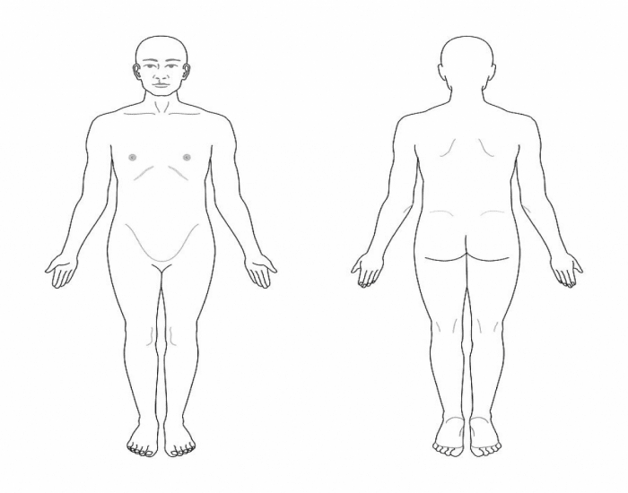Subj Body Chart Body Chart Memorization Quiz