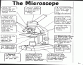 Label the Microscope Part