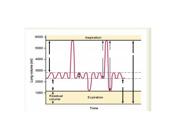 Spirogram Quiz