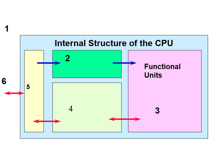 Internal Structure of the CPU — Printable Worksheet