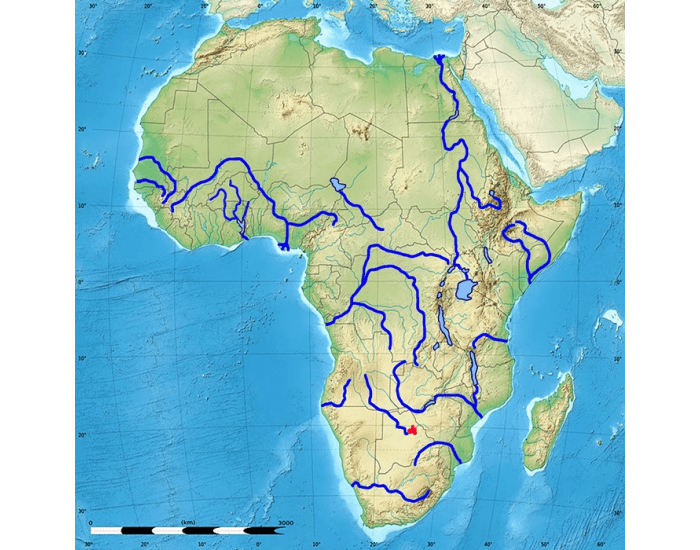 african-rivers-and-lakes-printable-worksheet