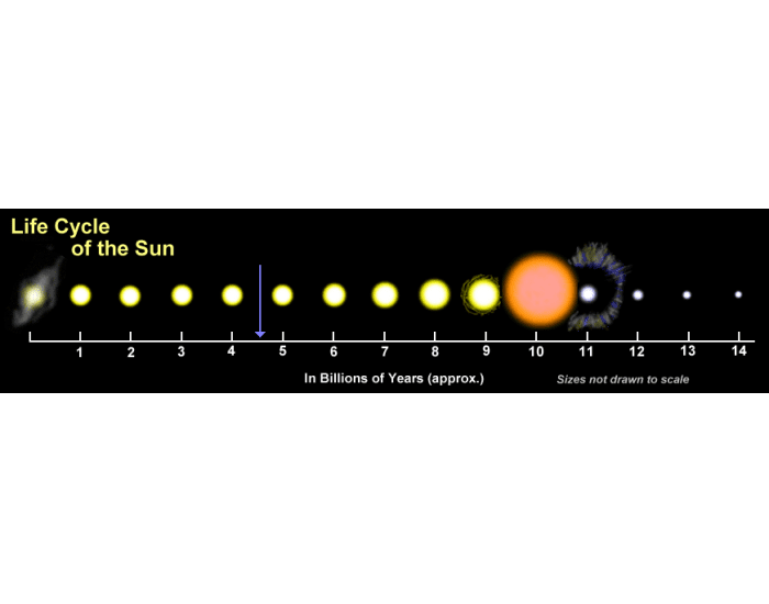 Sun Life Cycle Timeline Quiz