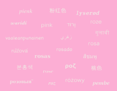 PINK in any language